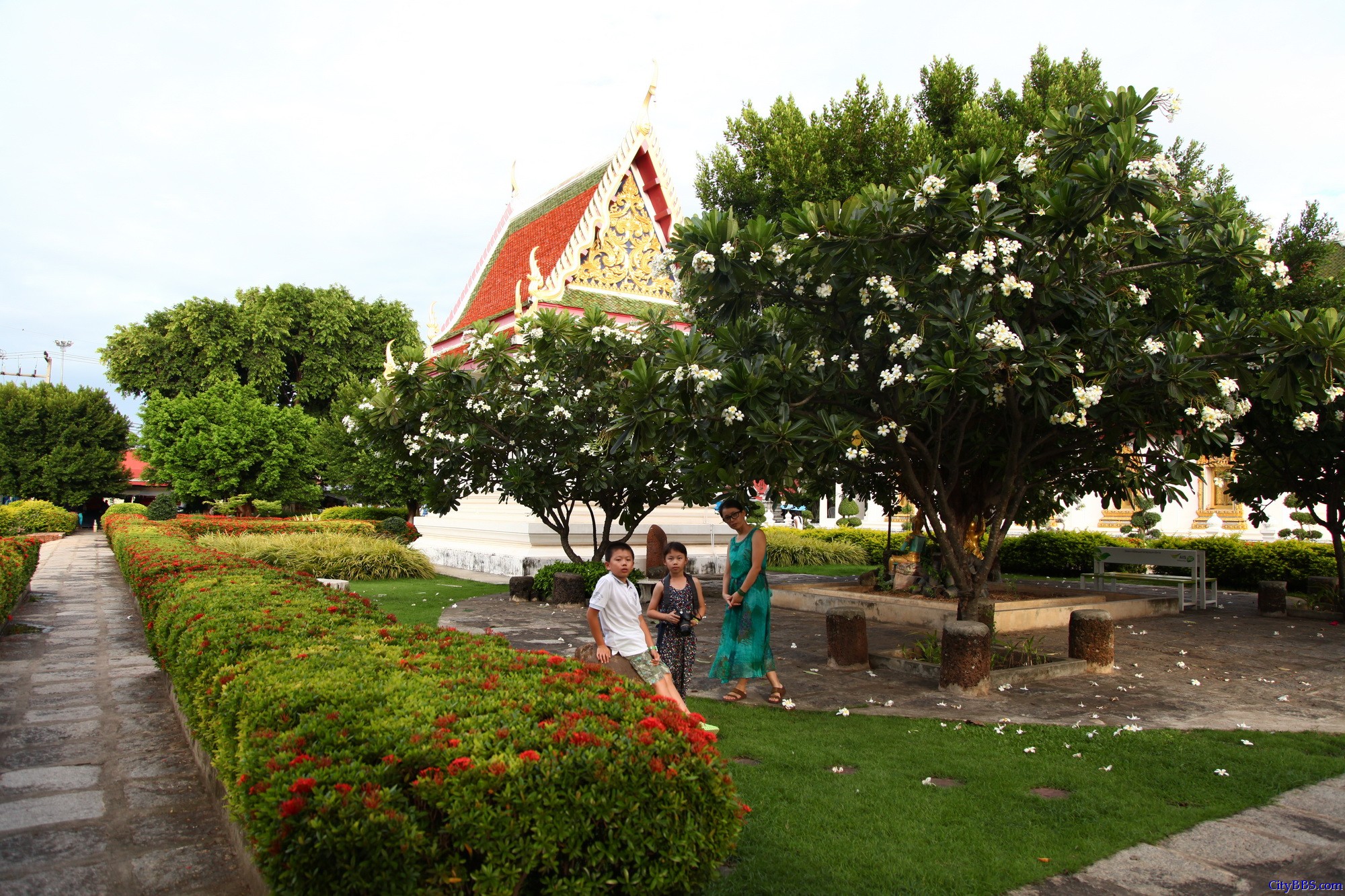 彭世洛（Phitsanulok）斯吗哈搭寺，当地称为Wat Yai(大庙)